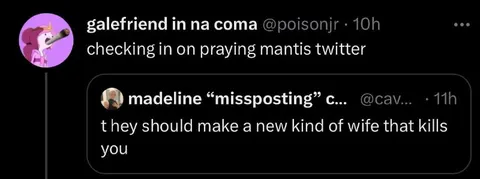 Praying Mantis Twitter Wife Joke