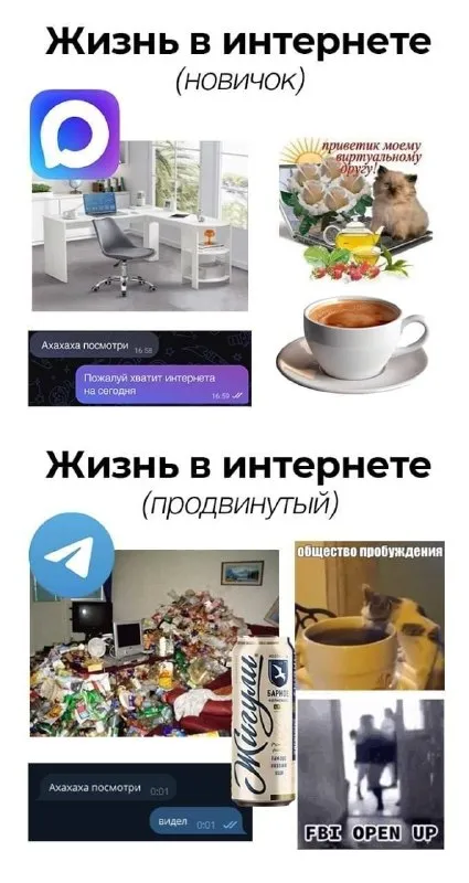 Жизнь в интернете: новичок и продвинутый