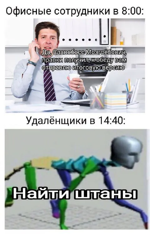 Удалёнщик ищет штаны