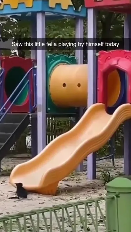 Little Fella Plays Alone