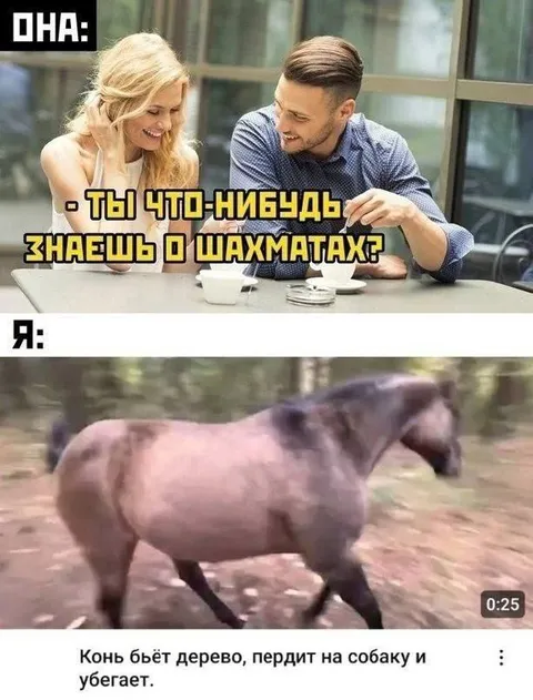 Конь знает о шахматах