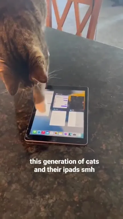 This Generation of Cats and Their iPads