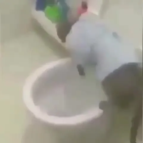 Ребёнок танцует в туалете