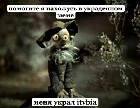 Помогите, я в украденном меме