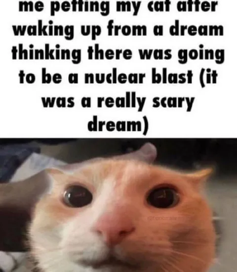 Petting Cat After Nuclear Dream