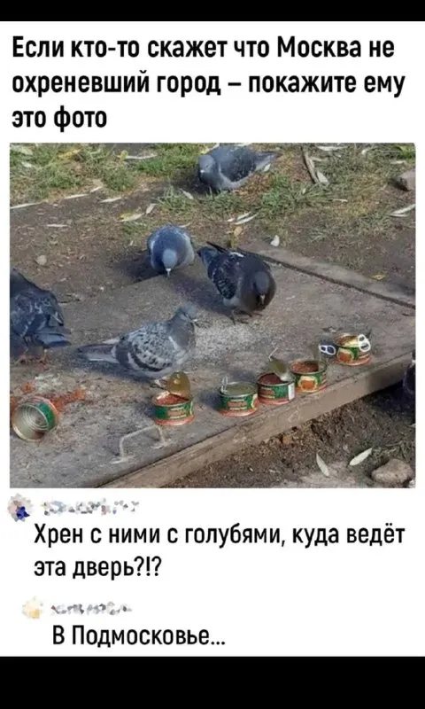 Дверь в Подмосковье