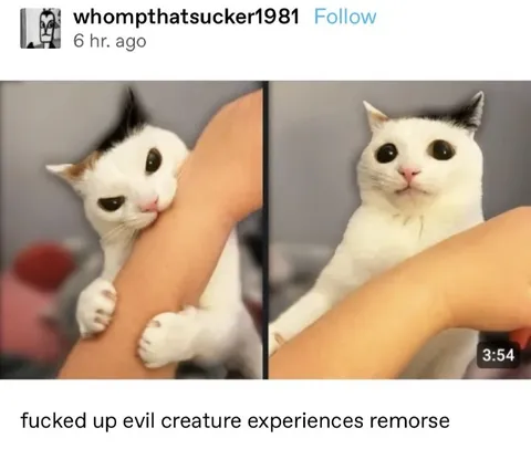 Evil Creature Experiences Remorse