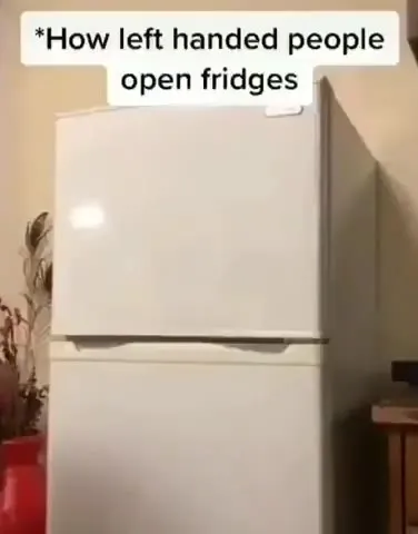 How Left-Handed People Open Fridges