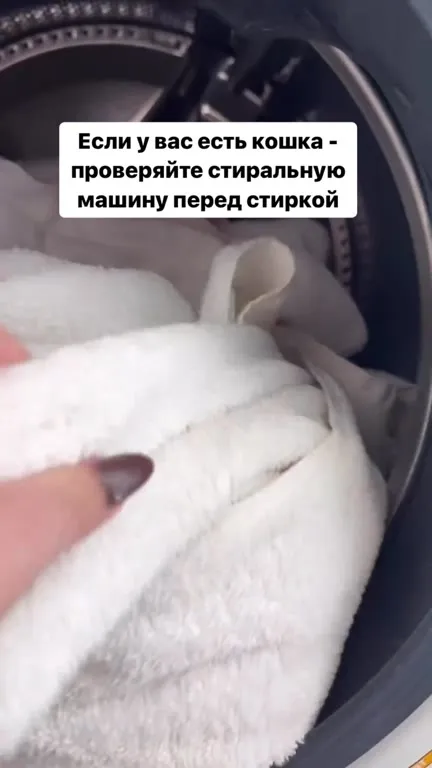 Кошка в стиральной машине