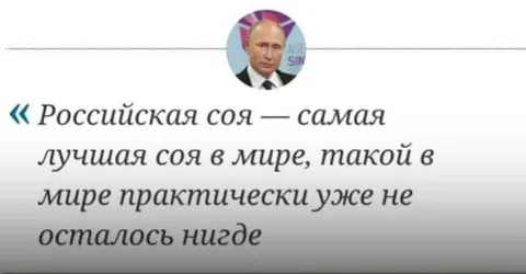 Российская соя — лучшая в мире