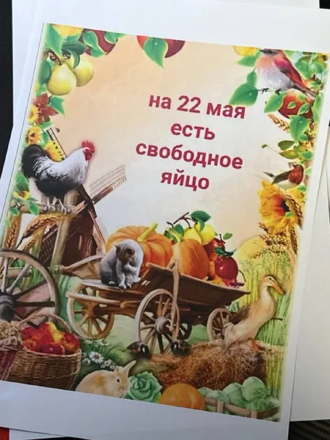 Свободное яйцо на 22 мая