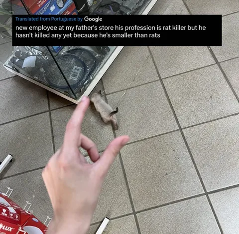 The Rat Killer Is Too Small