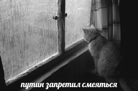 Путин запретил смеяться
