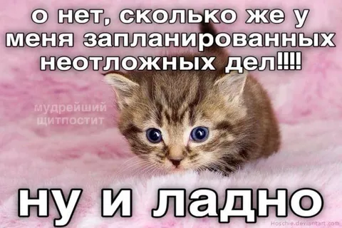 Запланированные неотложные дела