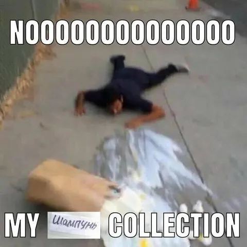 No My Shampoo Collection