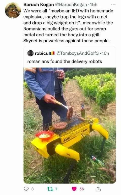 Romanians Found the Delivery Robots