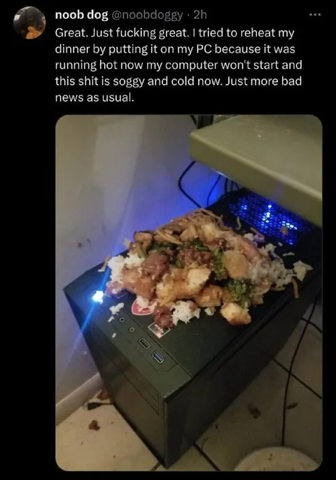 Reheated Dinner Ruins Computer