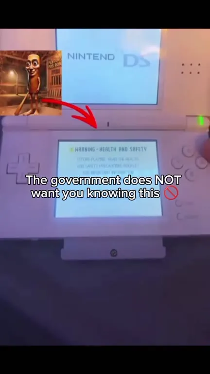 Government Hides Nintendo DS Secrets