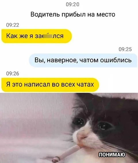 Водитель ошибся чатом