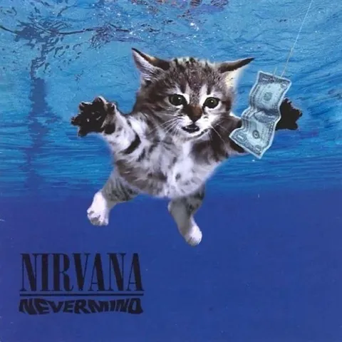 Котёнок Nirvana Nevermind