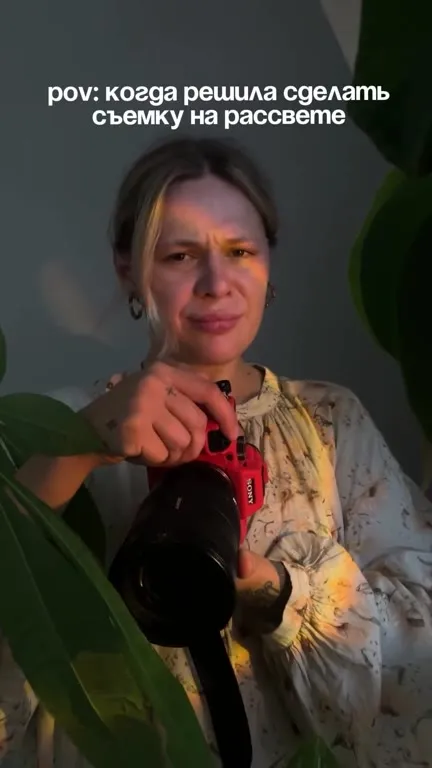Съёмка на рассвете с коровами