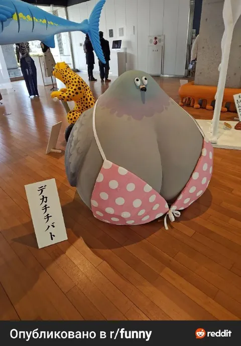 巨大な胸のハト