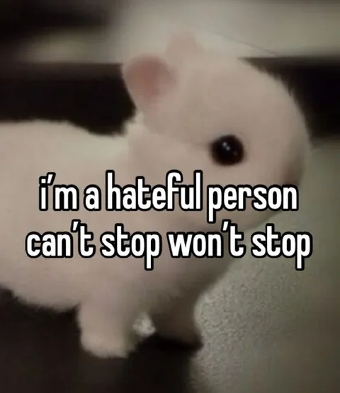 Hateful Person Can't Stop