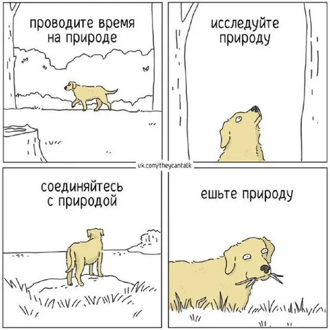 Собака ест природу