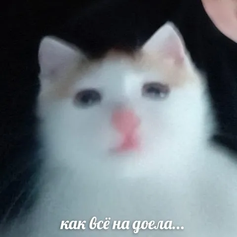 Как всё надоела