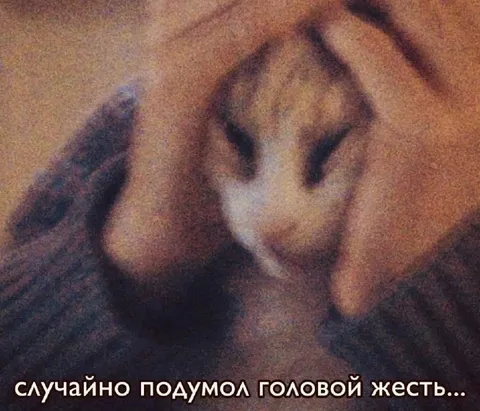 Случайно подумал головой жест