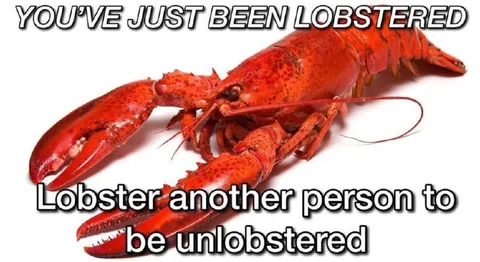 You've Just Been Lobstered