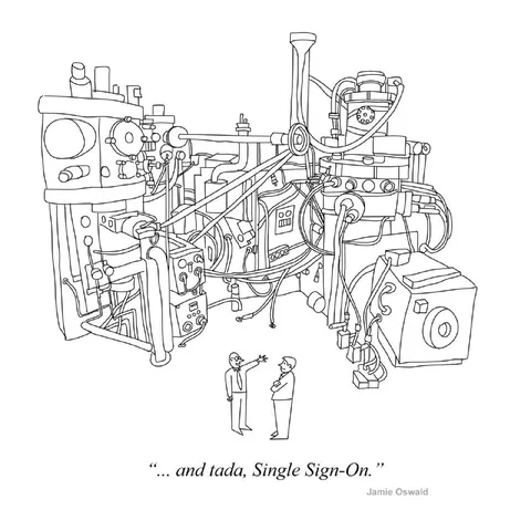Single Sign-On Complexity