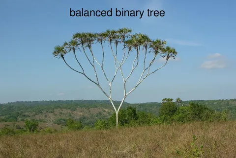 Balanced Binary Tree