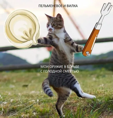 Кот против голодной смерти