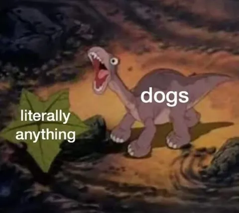 Dogs Literally Anything