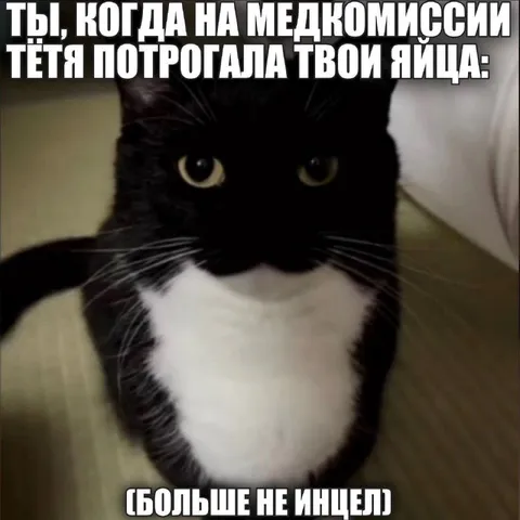 Тётя потрогала яйца на медкомиссии