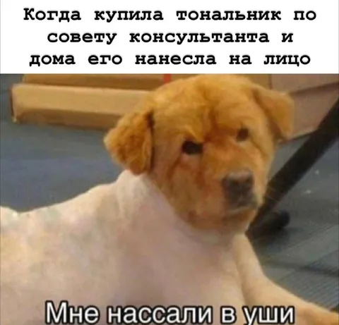 Собака после совета консультанта