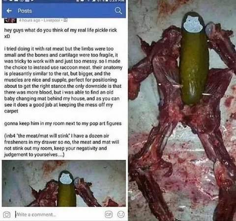Real Life Pickle Rick