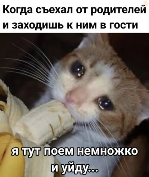 В гостях у родителей после съезда