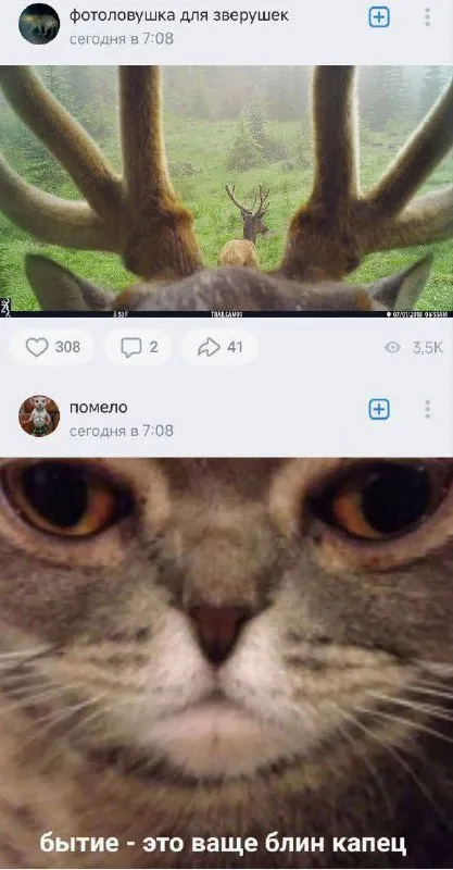 Бытие — это ваще капец