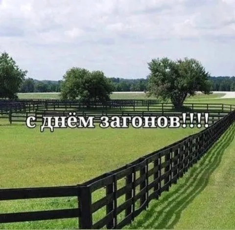 С днём загонов