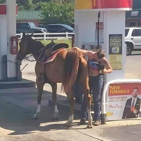 Horse Refuels at the Gas Station