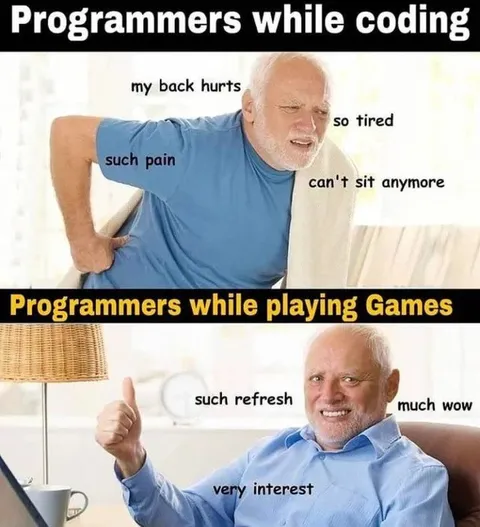 Programmers Coding Versus Gaming