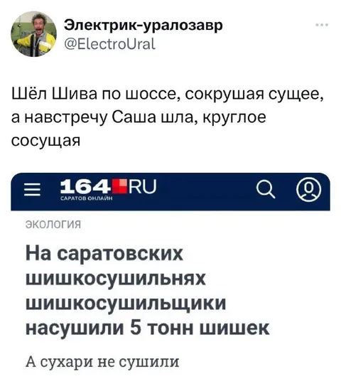 Шива и шишки на сушильнях