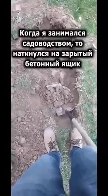 Когда нашёл канализационный отстойник