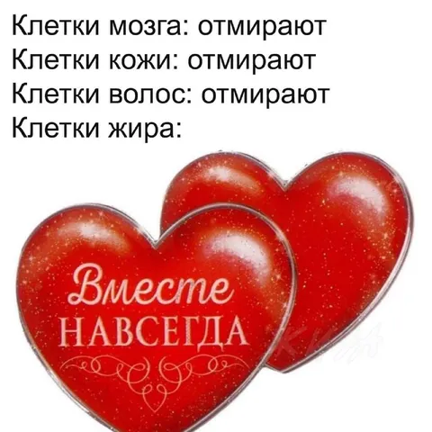 Клетки жира живут вместе