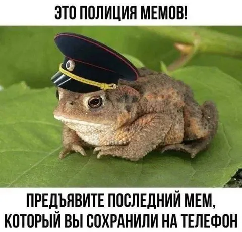 Полиция мемов требует мем