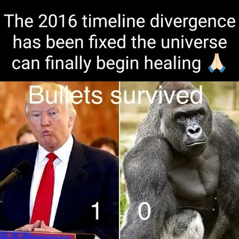 2016 Timeline Divergence Fixed