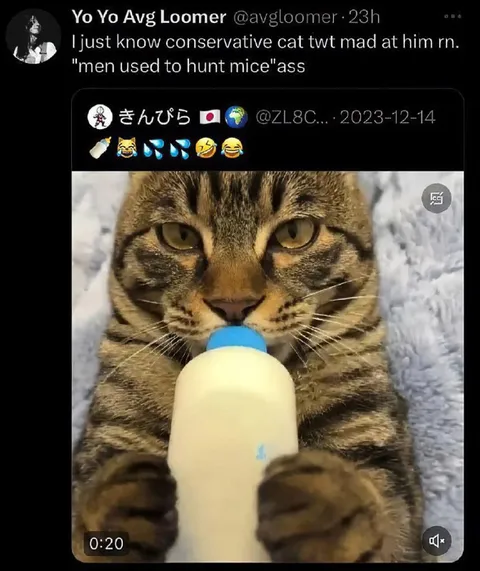 Conservative Cat Mad About Baby Bottle