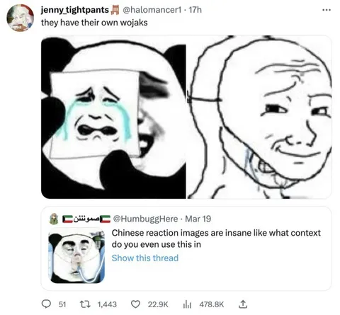 Chinese Reaction Images Are Insane